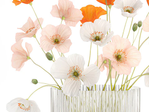 Wundersch&ouml;ner realistischer Blumenstrau&szlig; aus Wildblumen, Mohn-Glasvase 627 3D Modell