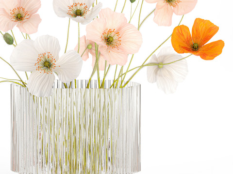 Beautiful Realistic Bouquet Of Wild Flowers Poppy glass vase 627 Modello 3D