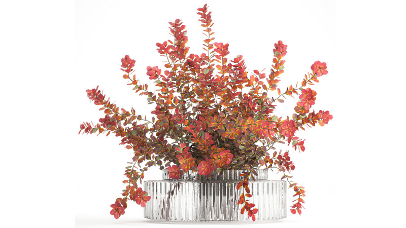 Realistic bouquet autumn flowers barberry branches vase 629 Modello 3D .c4d .max .obj .3ds .fbx .stl .blend 