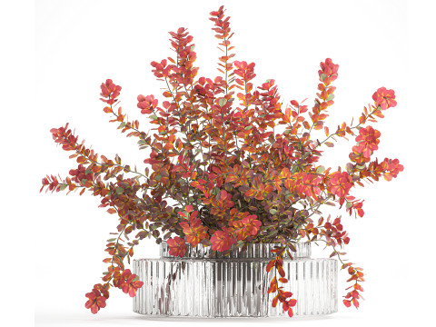 Realistic bouquet autumn flowers barberry branches vase 629 3Dモデル
