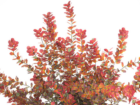 Realistic bouquet autumn flowers barberry branches vase 629 Modello 3D
