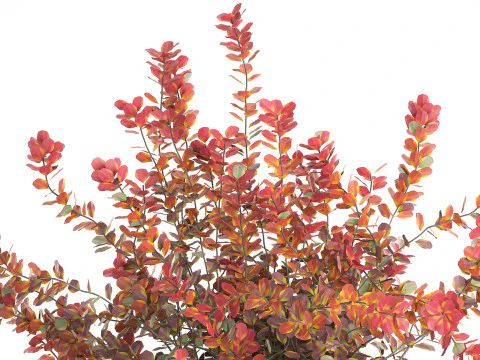 Realistic bouquet autumn flowers barberry branches vase 629 3D Model
