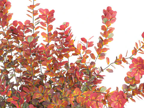 Realistic bouquet autumn flowers barberry branches vase 629 3D Model