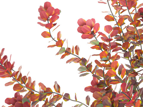 Realistic bouquet autumn flowers barberry branches vase 629 Modello 3D