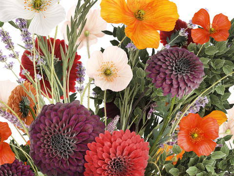 Realistic bouquet flowers poppy lavender branches vase 630 Model 3D