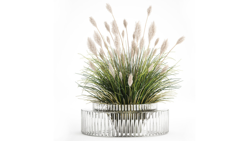 Bouquet Wildflowers Reeds Feather Grass glass vase 631 3D Модель .c4d .max .obj .3ds .fbx .stl .blend