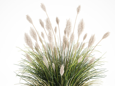 Bouquet Wildflowers Reeds Feather Grass glass vase 631 3D Модель