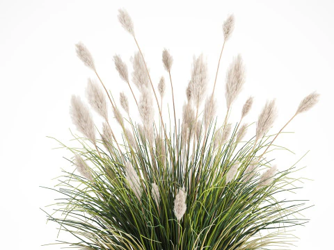Bouquet Wildflowers Reeds Feather Grass glass vase 631 3D Model