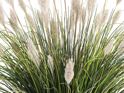 Bouquet Wildflowers Reeds Feather Grass glass vase 631 3D Model