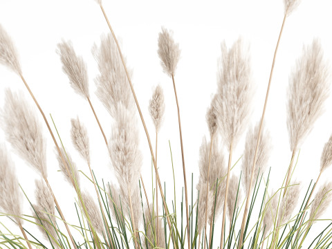 Bouquet Wildflowers Reeds Feather Grass glass vase 631 3D Модель