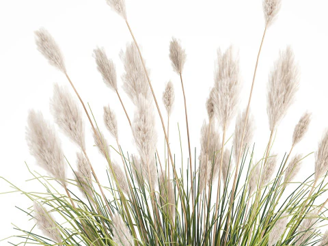 Bouquet Wildflowers Reeds Feather Grass glass vase 631 3D Model