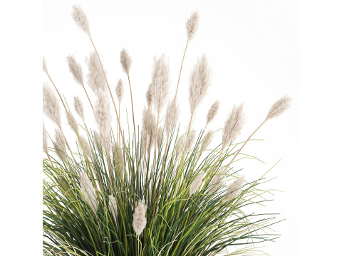 Bouquet Wildflowers Reeds Feather Grass glass vase 631 3D Модель