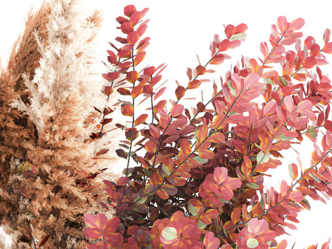 Bouquet Autumn Flowers Branches Barberry Pampas vase 630 3D Модель