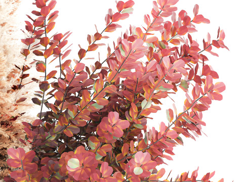 Bouquet Autumn Flowers Branches Barberry Pampas vase 630 3D Модель