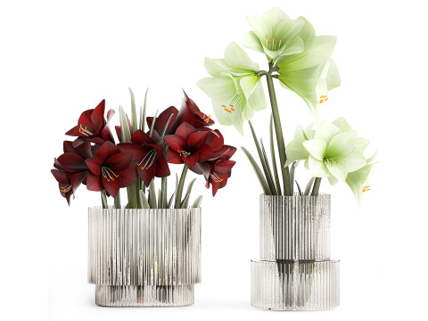 Set Realistic Bouquets Flowers Hydrangea Peony lilac vase Modello 3D