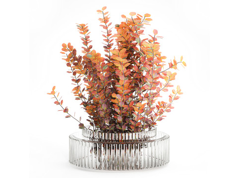 Bouquet of autumn flowers barberry branches glass vase 632 3D Модель