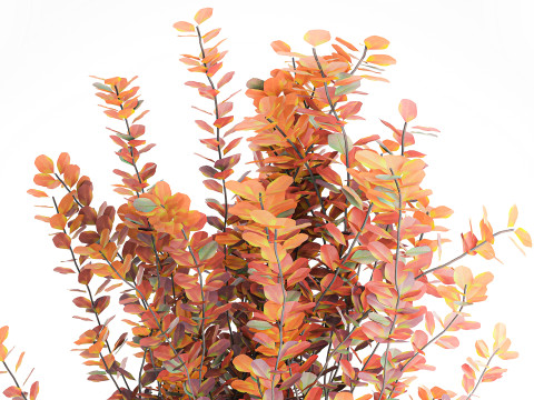 Bouquet of autumn flowers barberry branches glass vase 632 Model 3D