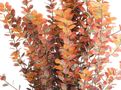 Bouquet of autumn flowers barberry branches glass vase 632 Model 3D