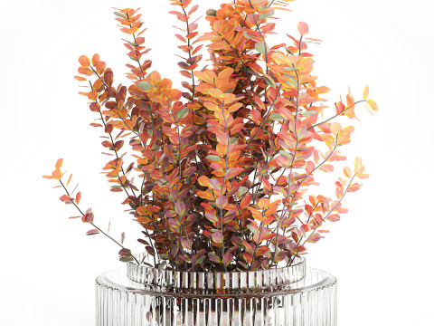 Bouquet of autumn flowers barberry branches glass vase 632 Model 3D