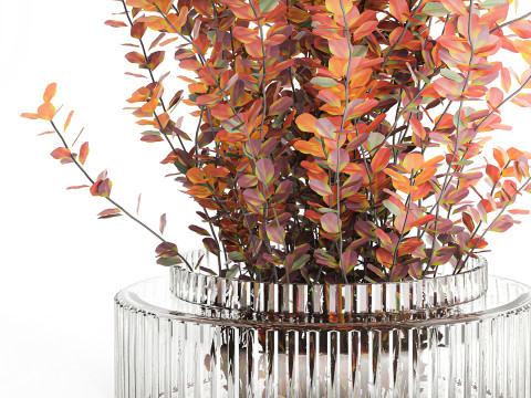 Bouquet of autumn flowers barberry branches glass vase 632 Model 3D