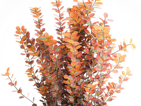 Bouquet of autumn flowers barberry branches glass vase 632 Model 3D