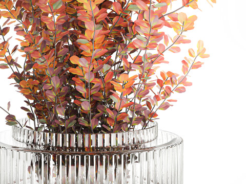 Bouquet of autumn flowers barberry branches glass vase 632 Model 3D