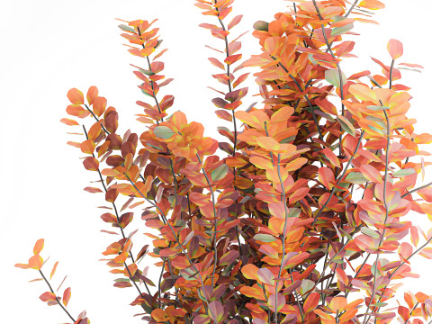 Bouquet of autumn flowers barberry branches glass vase 632 Model 3D