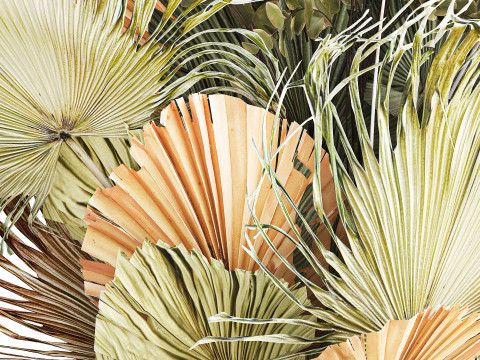 Realistic bouquet dried flower pampas palm leaves glass vase 3D Модель