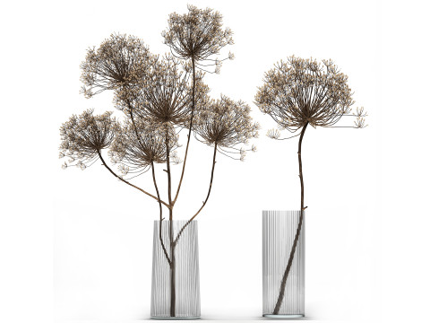 Bouquets hydrangea peony hogweed branches vase 638 Model 3D