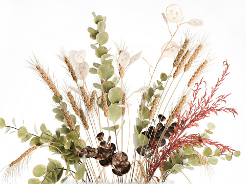 Bouquet dried flower branches wheat eucalyptus glass vase 3D Модель