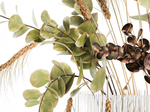 Bouquet dried flower branches wheat eucalyptus glass vase 3D Модель