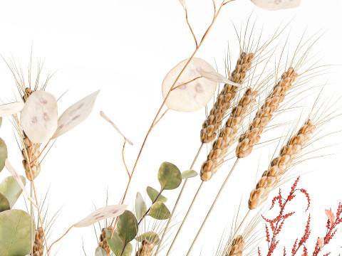 Bouquet dried flower branches wheat eucalyptus glass vase 3D Модель