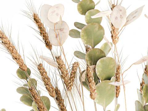 Bouquet dried flower branches wheat eucalyptus glass vase 3D Model