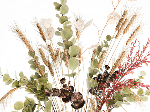 Bouquet dried flower branches wheat eucalyptus glass vase 3D Модель