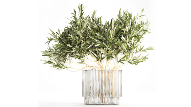 Bouquet Decorated Olive Branches Glass Vase Decor 641 3D Model .c4d .max .obj .3ds .fbx .stl .blend