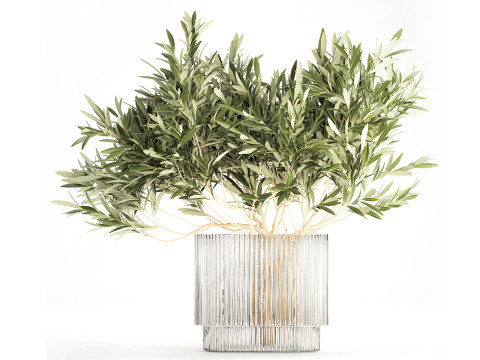 Bouquet Decorated Olive Branches Glass Vase Decor 641 3D Model