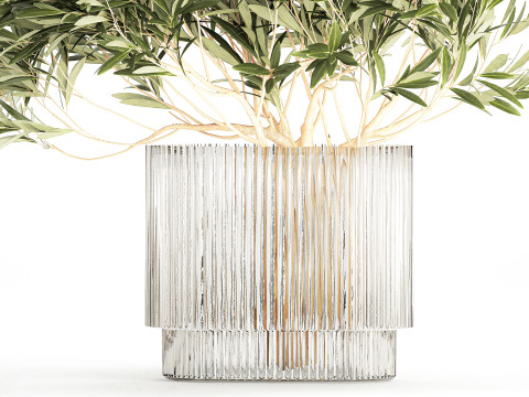 Bouquet Decorated Olive Branches Glass Vase Decor 641 3D Model