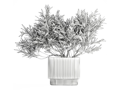 Bouquet Decorated Olive Branches Glass Vase Decor 641 3D Model