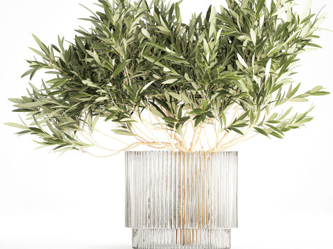 Bouquet Decorated Olive Branches Glass Vase Decor 641 3D Model