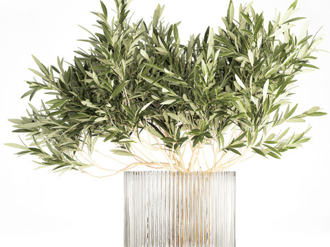 Bouquet Decorated Olive Branches Glass Vase Decor 641 3D Model