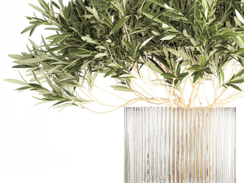Bouquet Decorated Olive Branches Glass Vase Decor 641 3D Model