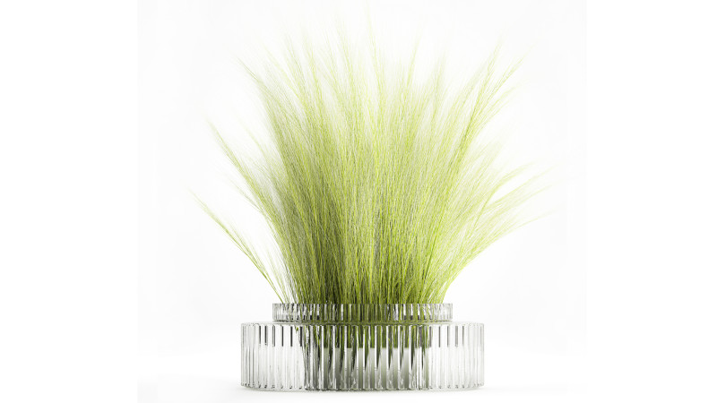 Beautiful green bouquet wildflowers feather grass glass vase 643 Modèle 3D .c4d .max .obj .3ds .fbx .stl .blend