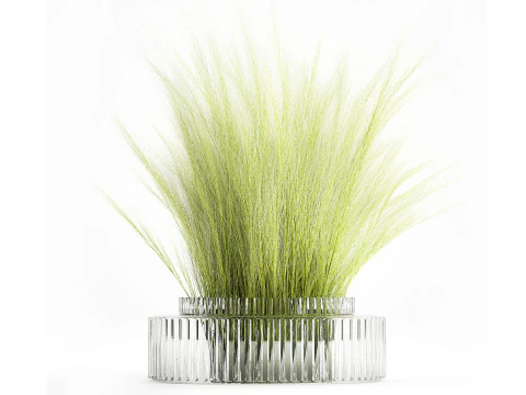 아름다운 녹색 꽃다발 야생화 깃털 잔디 유리 꽃병 643 3D 모델