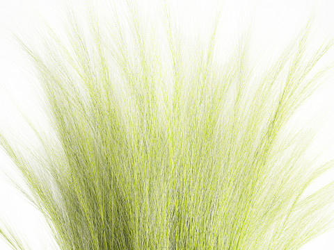 Beautiful green bouquet wildflowers feather grass glass vase 643 Modèle 3D