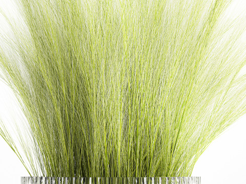 Beautiful green bouquet wildflowers feather grass glass vase 643 Modèle 3D