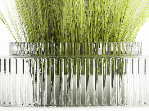 Beautiful green bouquet wildflowers feather grass glass vase 643 Modèle 3D