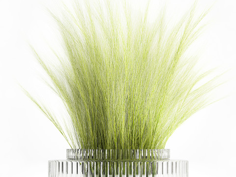 Beautiful green bouquet wildflowers feather grass glass vase 643 Modèle 3D