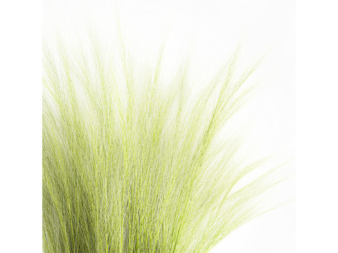 Beautiful green bouquet wildflowers feather grass glass vase 643 Modèle 3D