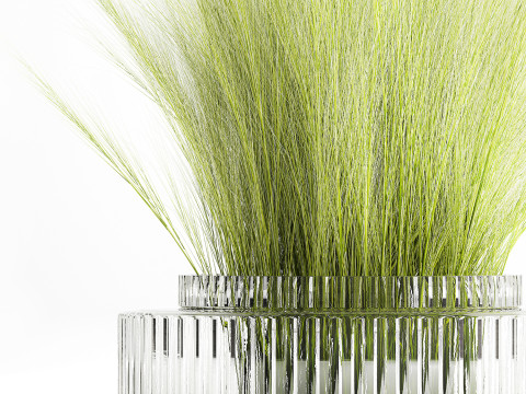 Beautiful green bouquet wildflowers feather grass glass vase 643 Modèle 3D