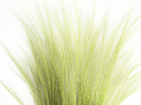 Beautiful green bouquet wildflowers feather grass glass vase 643 Modèle 3D